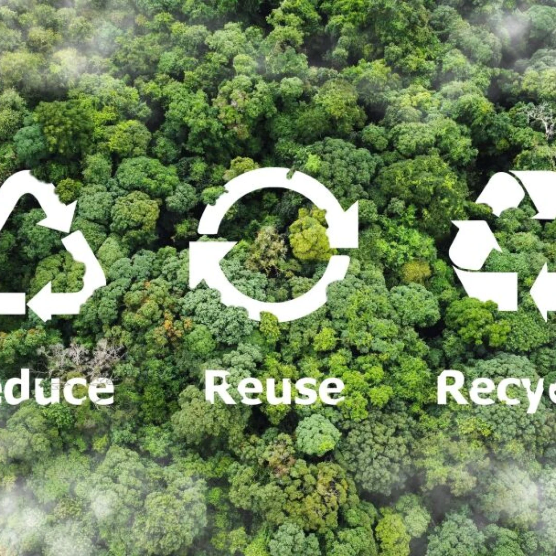 Reduce, Reuse, Recycle (Paper, Plastic, Metal, Food, Donate)-image