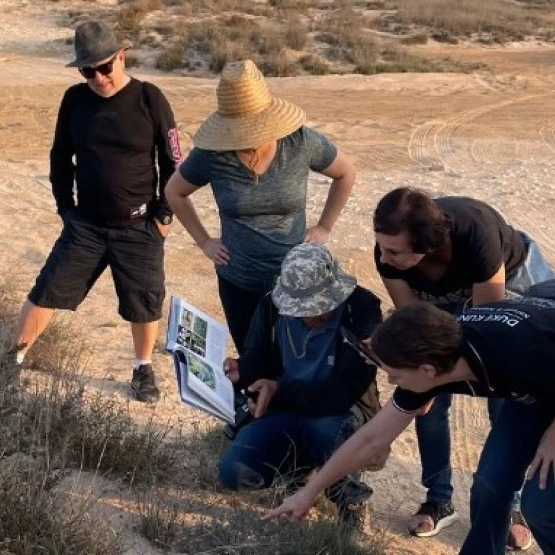 Connect to nature-image